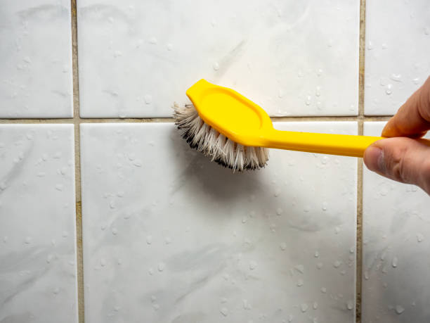 Best Post-Remediation Services in Washburn, IL