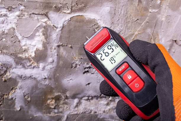 Best Crawl Space Mold Remediation in Washburn, IL