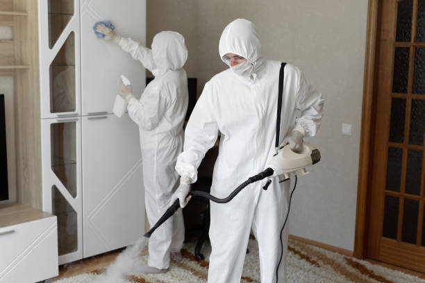 Best Health and Safety Mold Remediation in Washburn, IL