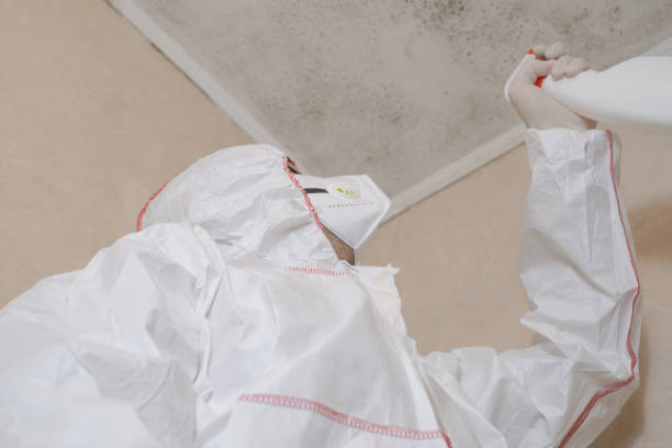Best Post-Remediation Services in Washburn, IL